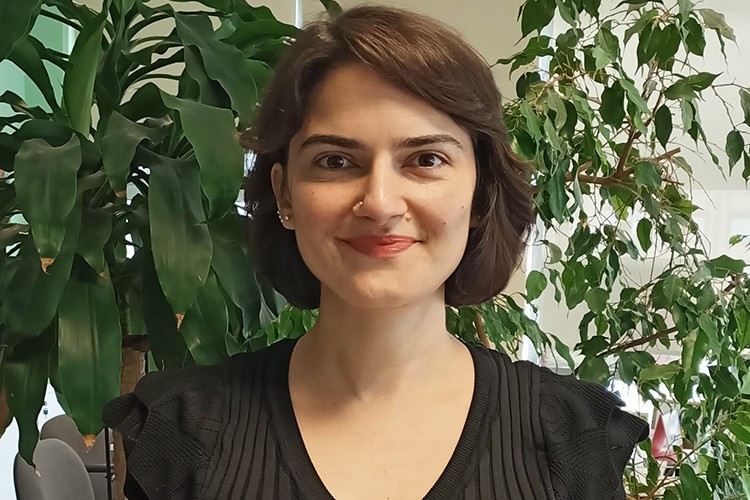 İklim kriziyle mücadelede son gelişmeler