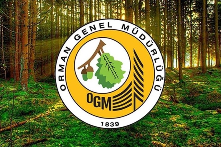 Orman Genel Müdürlüğüne 496 personel alınacak