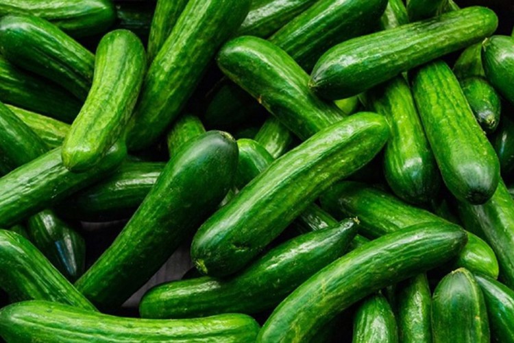 Kuru soğan arttı, salatalık düştü