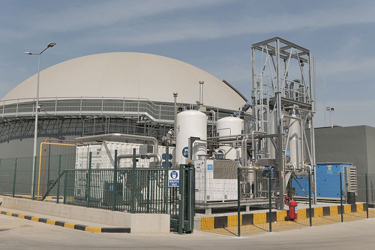 14 bin ağacın temizlediği kadar karbon salımı engellendi