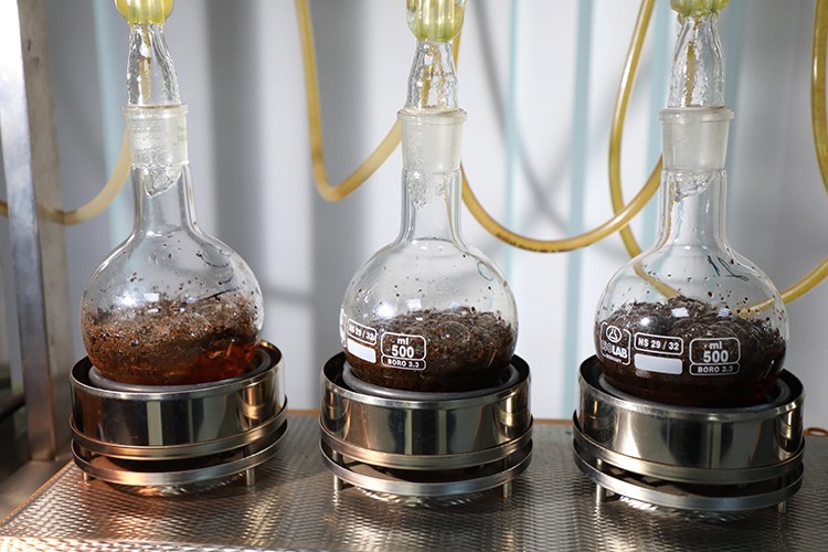 Coğrafi işaretli "Rize çayı" 2022'de raflarda yerini alacak