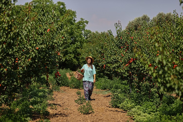 Semt pazarlarıyla tüketiciye ulaşıyor