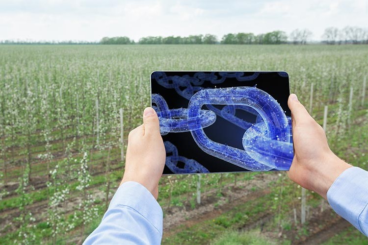 Tarımda veri eksikliği üretimi tehdit ediyor