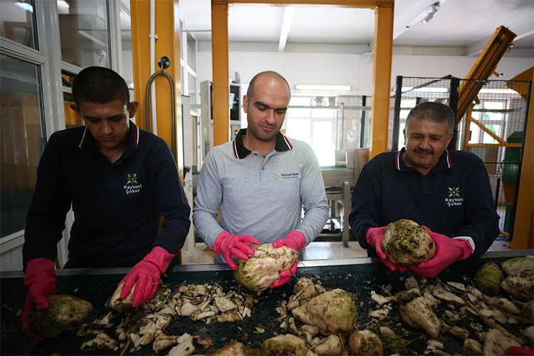 Kayseri Şeker'de 70. kampanya dönemi başladı