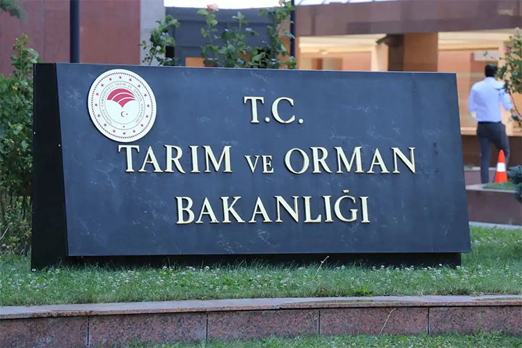 Bazı ürünlerinin girişine ilişkin düzenleme