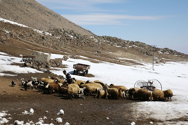 Besicilerin karla kaplı köylerdeki mesaisi sürüyor