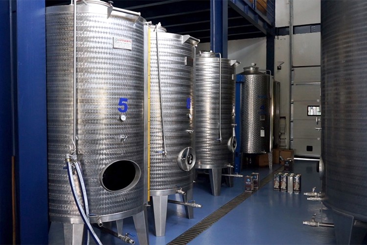 Uzmanından zeytinyağını doğru saklama tavsiyeleri