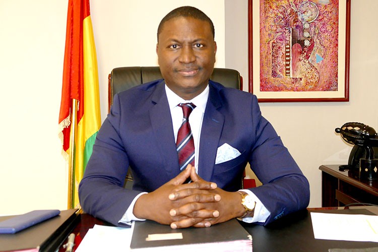 Gine, enerji altyapısı ve dönüşümü için yatırım çağrısı yapıyor