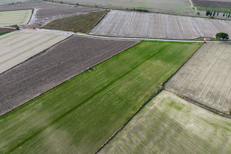 Kasım yağmurları Ege'de çiftçinin yüzünü güldürdü