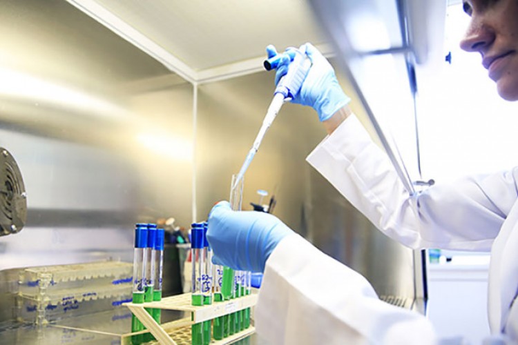 Gıda kontrolünde yeni düzenleme