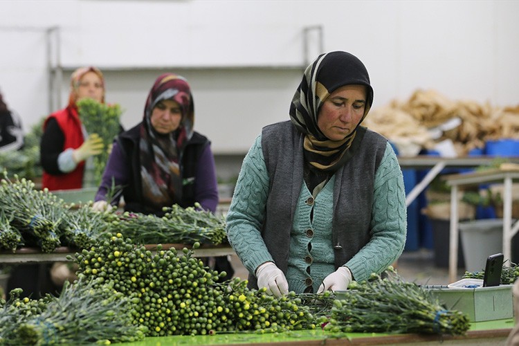 Dünya kadınlarına Türkiye'den 75 milyon dal çiçek