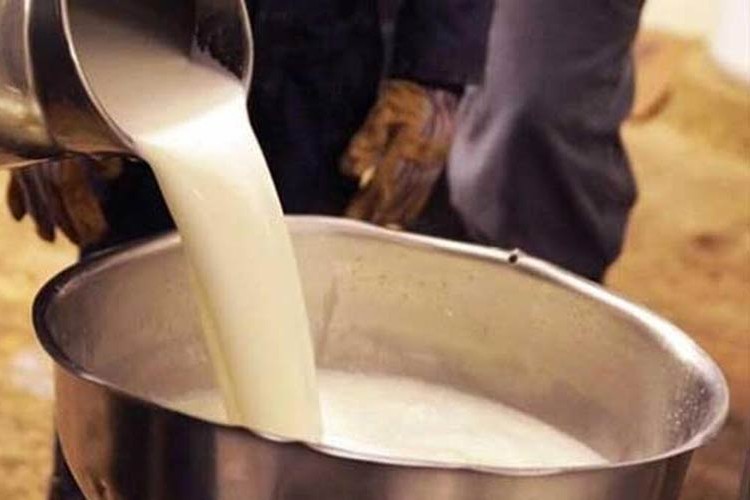 Çiğ süte 30 kuruş destek