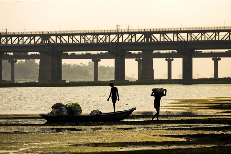Küresel gıda ve tarımsal tüketimde Güney Asya ve Hindistan'ın payı 10 yılda keskin artış gösterecek