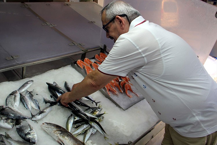 Sinop'ta palamutlar tanesi 350 liradan satışta