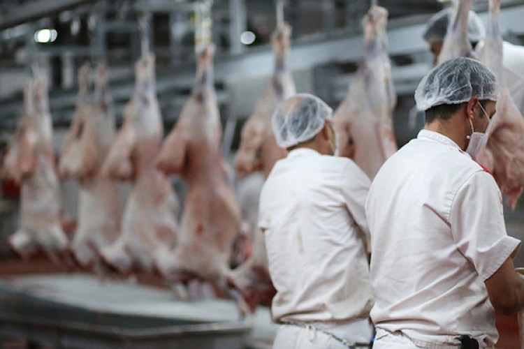 İrtifak hakkı ihalesi