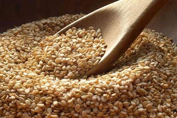 "Manavgat Altın Susamı" uluslararası marka yolunda