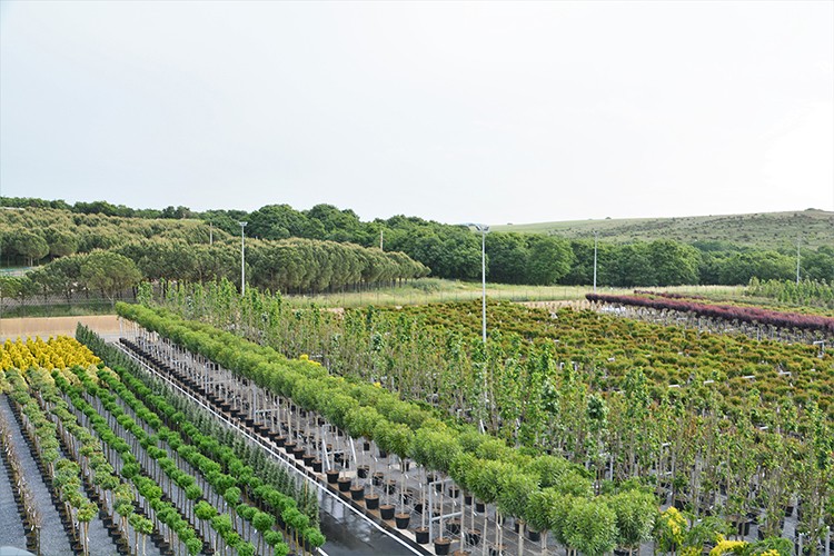 Kontrol hizmeti alınacak