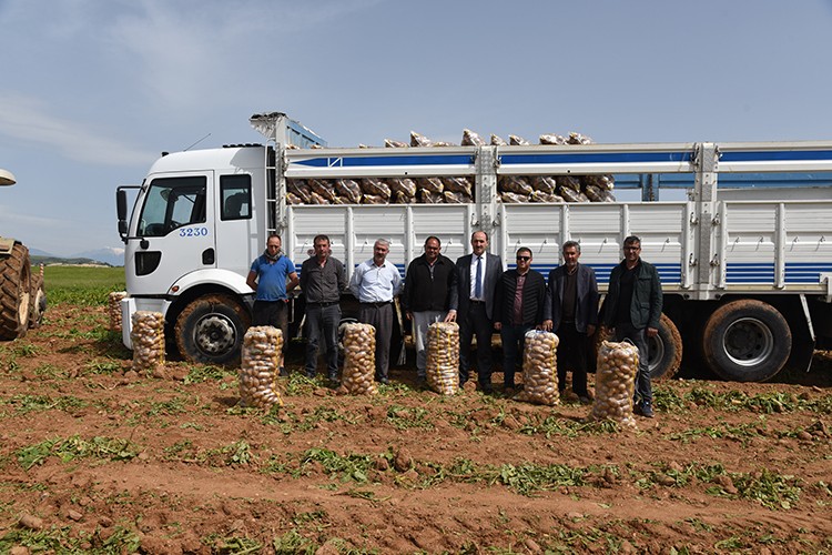 Turfanda patates yola çıktı