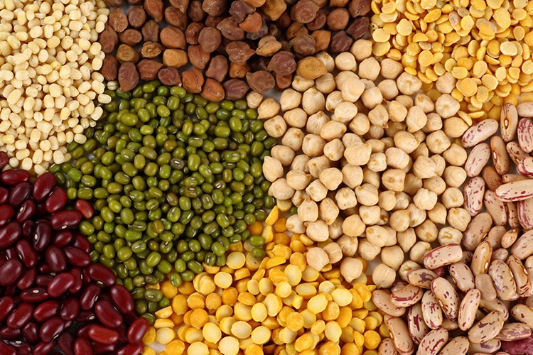 Üretim artışı bekleniyor