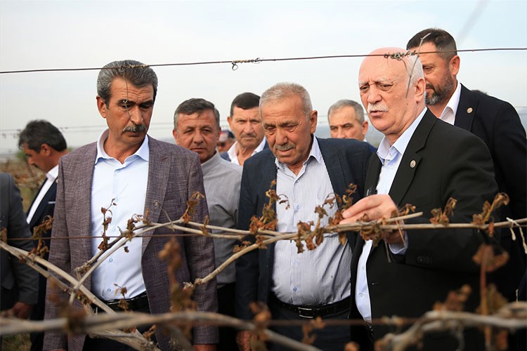 Bayraktar, Manisa'da zirai dondan etkilenen bağları inceledi
