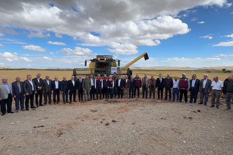 Çankırı'da çeltik hasat töreni düzenlendi