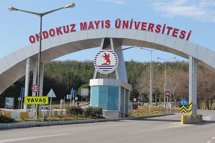 Akademisyen alınacak