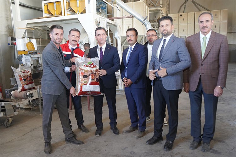 Bitlis'te 37 bin ton kuru fasulye üretilecek