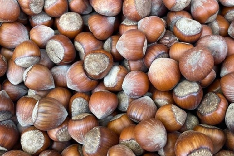 Doğu Karadeniz'den 4 ayda 478,8 milyon dolarlık fındık ihracatı