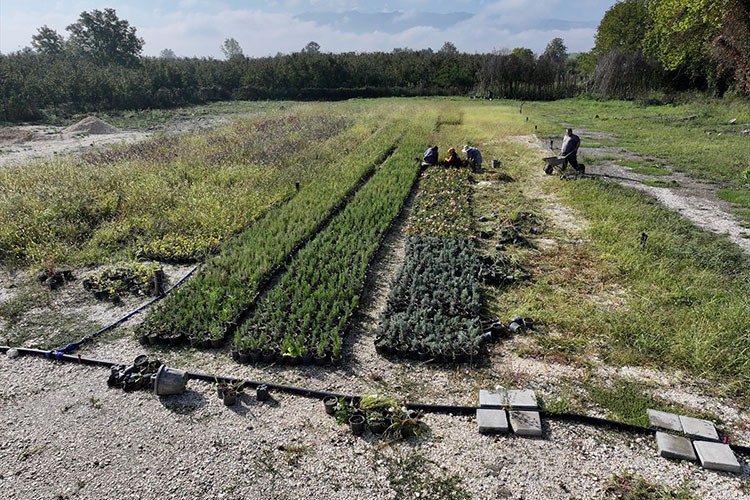 200 dönüm atıl arazi kadın ve gençlerin elinde değer kazandı
