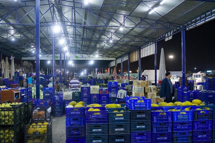 Meyve-sebze sektöründen 1,3 milyar dolarlık ihracat