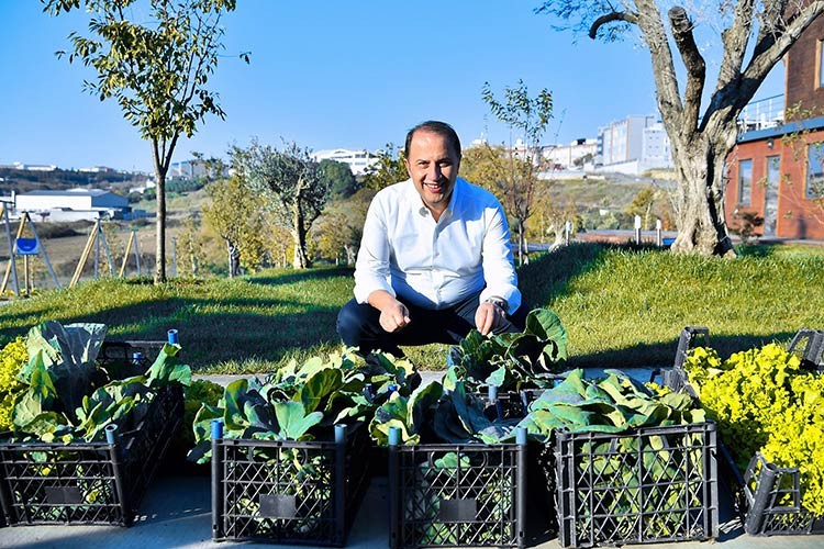 İlk kış hasadı yapıldı