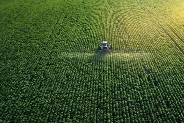 Tarımda bütüncül bir düzenlemeye ihtiyacımız var