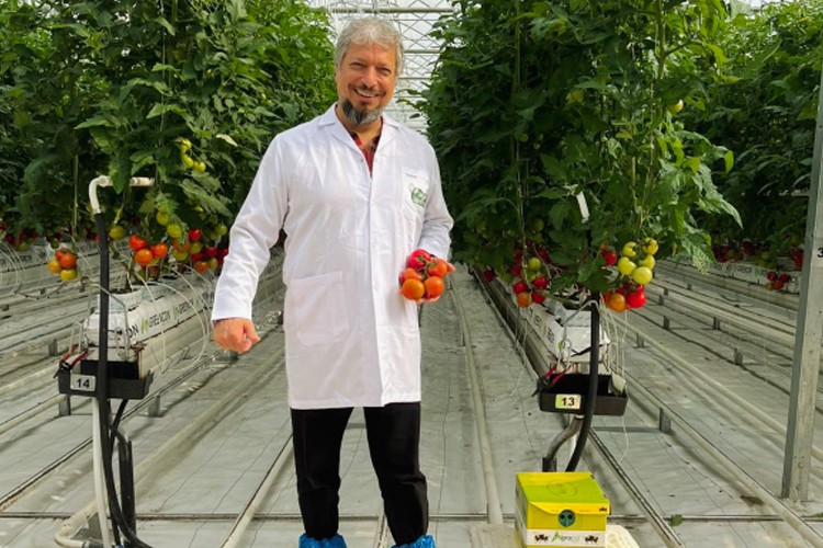 Kalıntısız domates üretiminde yeni dönem