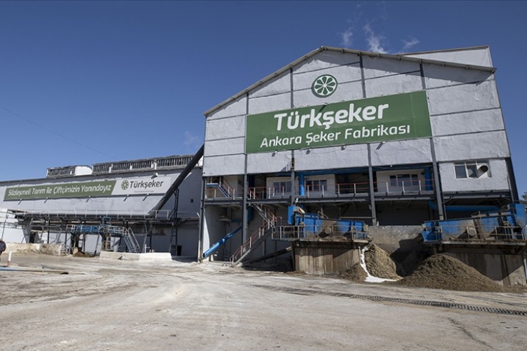 Yerli şeker pancarı tohumları gelecek yıl toprakla buluşacak