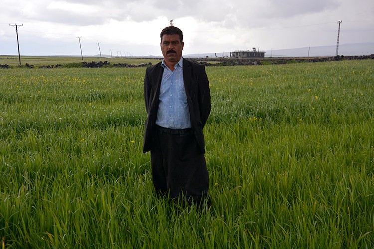 "Bereketli hasat" beklentisi