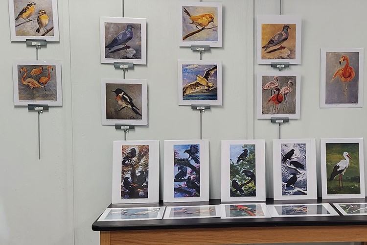 Sanatçı Fatma Kadir ve İlhan Sayın Solo Sergileri ile ABD'de