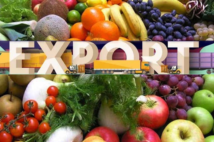 1 milyar 160 milyon dolarlık meyve ihracatı