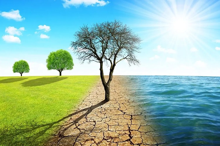 Gelecek 5-10 yıldaki en büyük risk iklim değişikliği