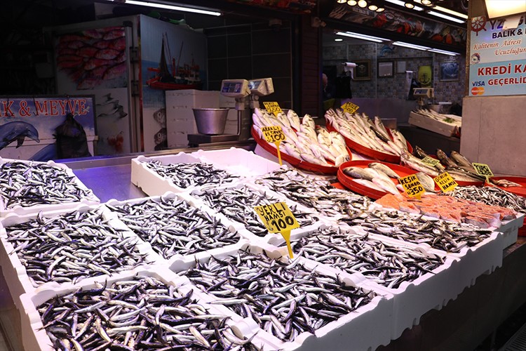 Trabzon'da hamsinin kilogramı 100 liraya yükseldi