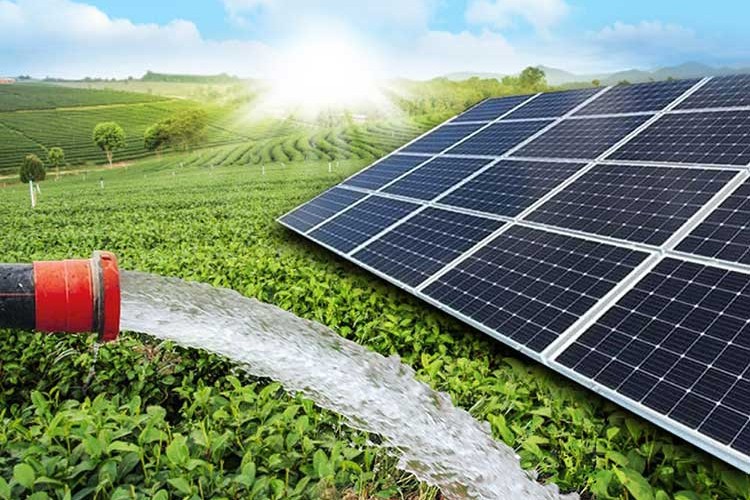 Suyu tasarruflu kullanmalıyız