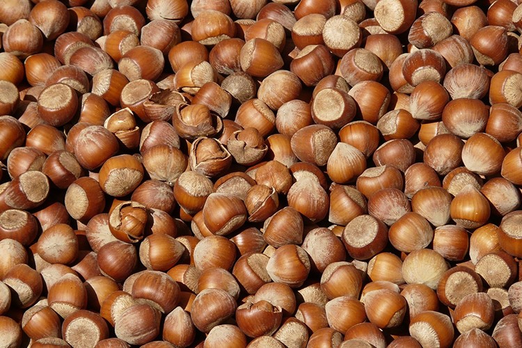 Fındık ihracatının yüzde 39'u Trabzon'dan yapıldı