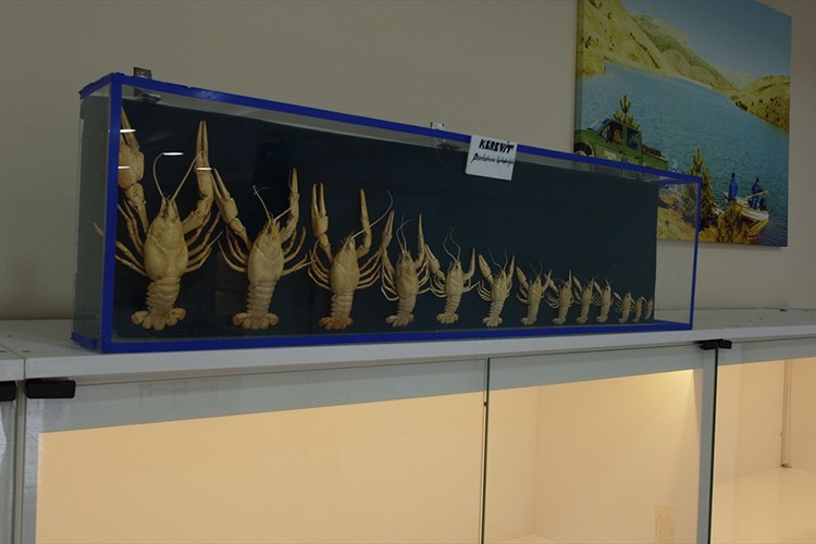 Yenilenen yüzüyle ziyaretçileri ağırlayacak