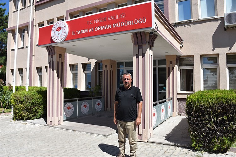 Niğde'de patateste 1 milyon 45 bin ton rekolte bekleniyor