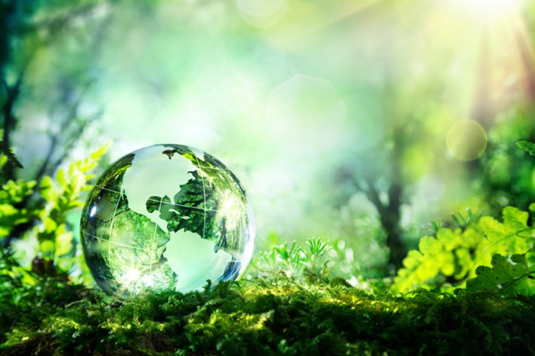 Sürdürülebilir gelecek arayışı