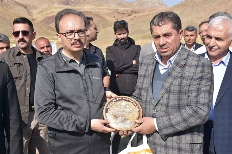 Siirt bal üretiminde yükseliyor