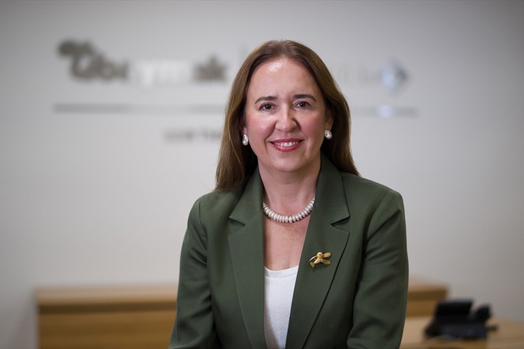 Baymak'ın ısı pompası satışları yüzde 50'nin üzerinde büyüdü