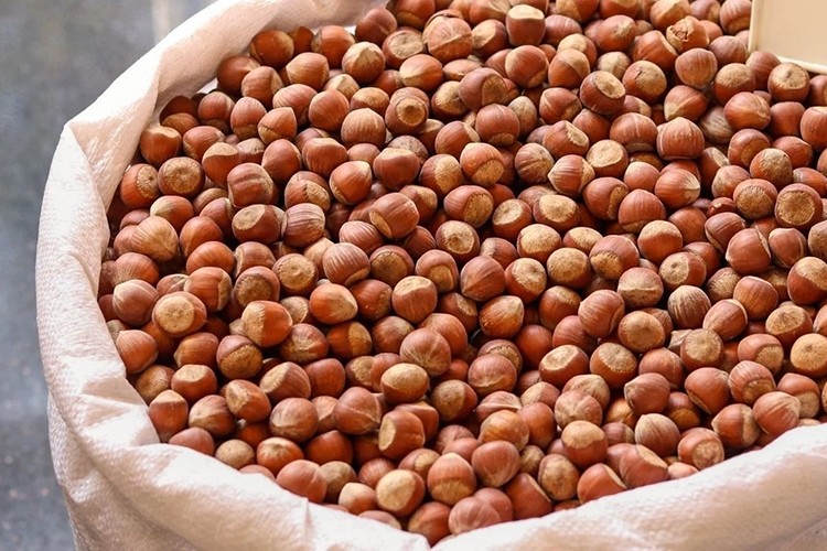 Fındık ihracatından 10 ayda 1,8 milyar dolar gelir sağlandı