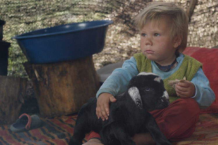 Turna Misali'ne New York'tan İki Ödül