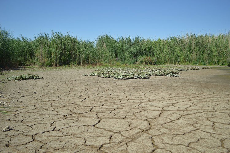 8 göl için "acil eylem planı" hazırlanacak