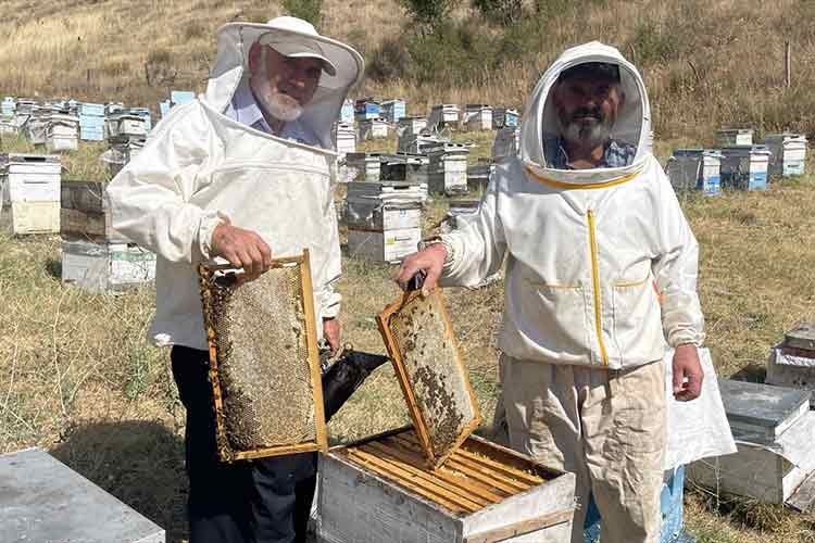 Yozgat'ta bal hasadı gecikmeli başladı